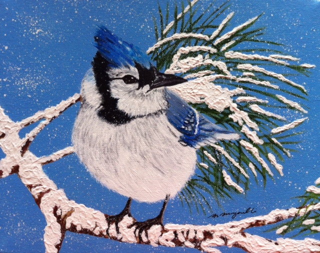 Winter Blue Jay - Greeting Card